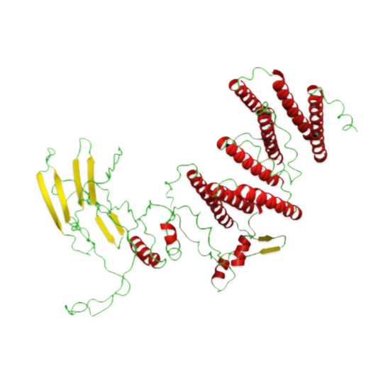 DNA-CGAN